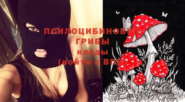 спиды Арсеньев