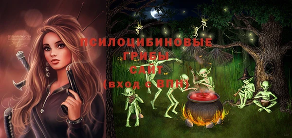 спиды Арсеньев
