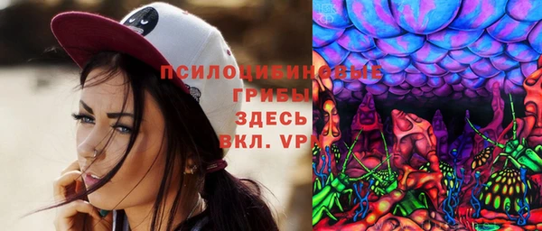 сатива Армянск