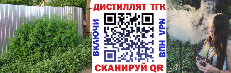 даркнет наркотические препараты  купить  сайты  Пучеж  Дистиллят ТГК вейп 