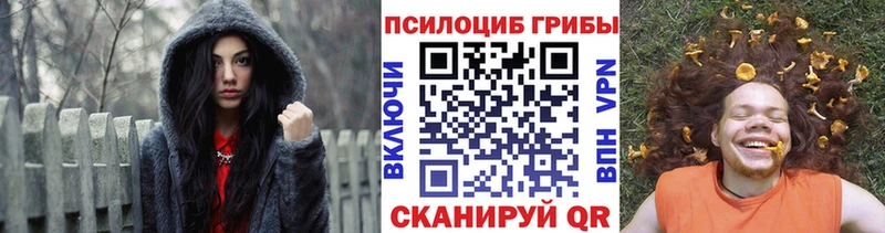 Галлюциногенные грибы Psilocybe  Пучеж 