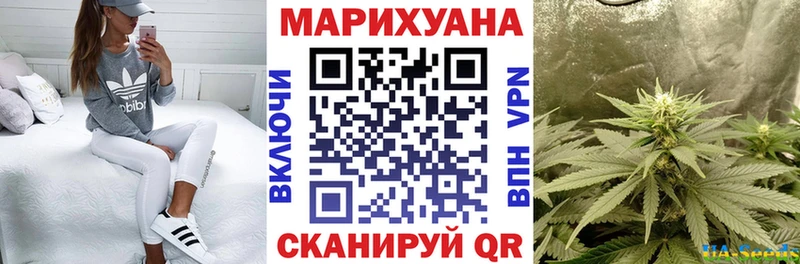 Каннабис гибрид  Пучеж 